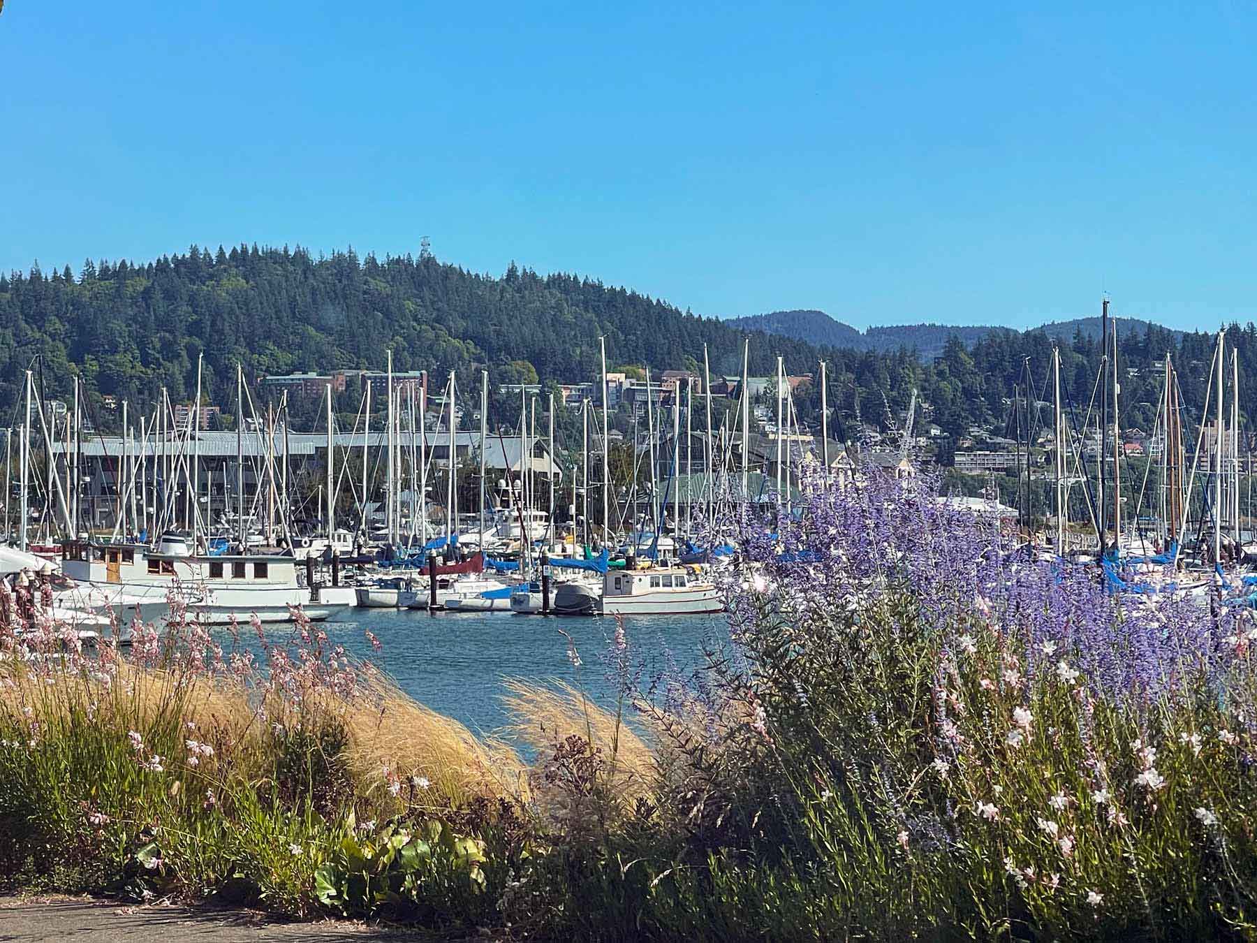 Bellingham waterfront marina with sailboats
