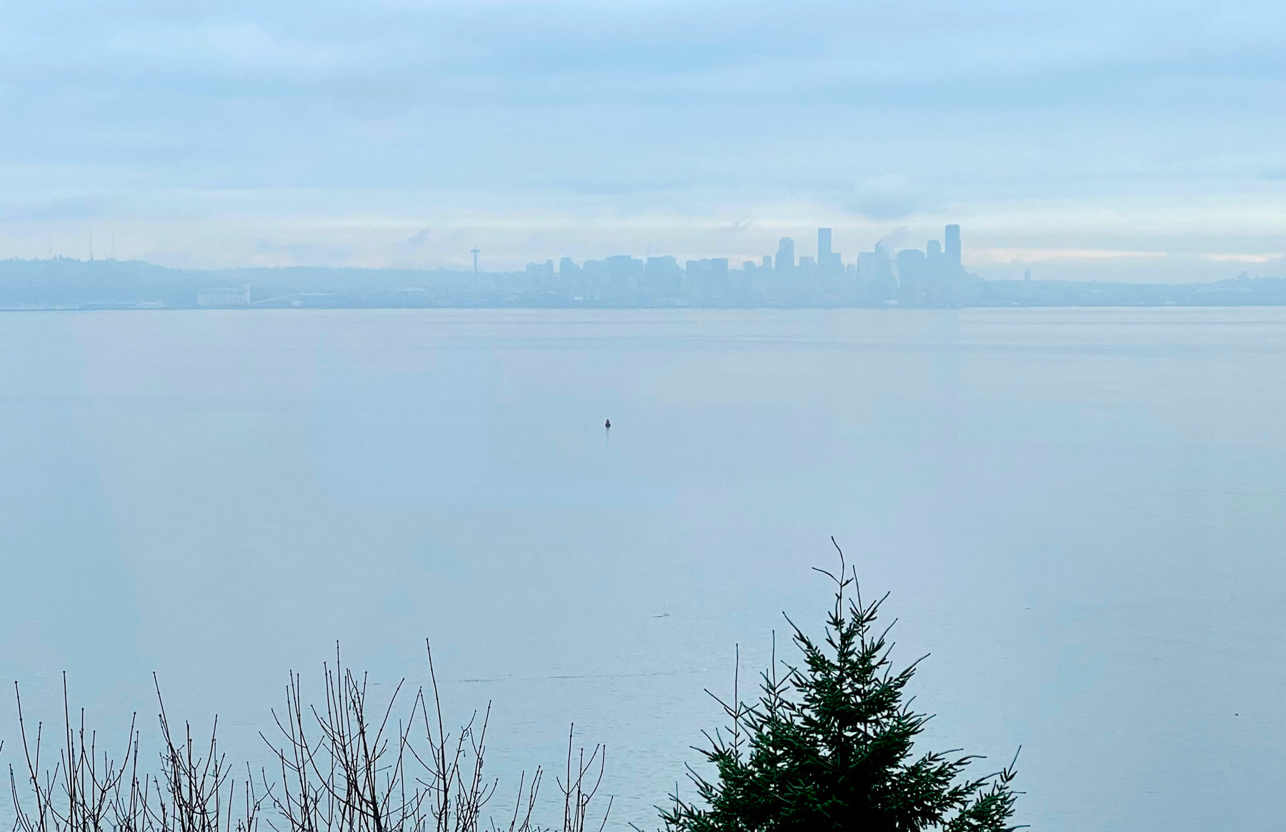 View of Seattle skyline & Puget sound from Bainbridge island on a foggy day