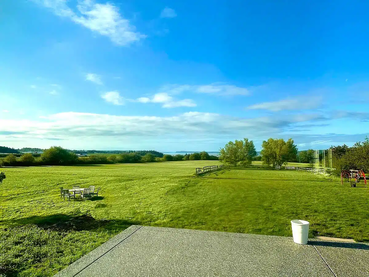 Horse farm water view Camano Island Washington