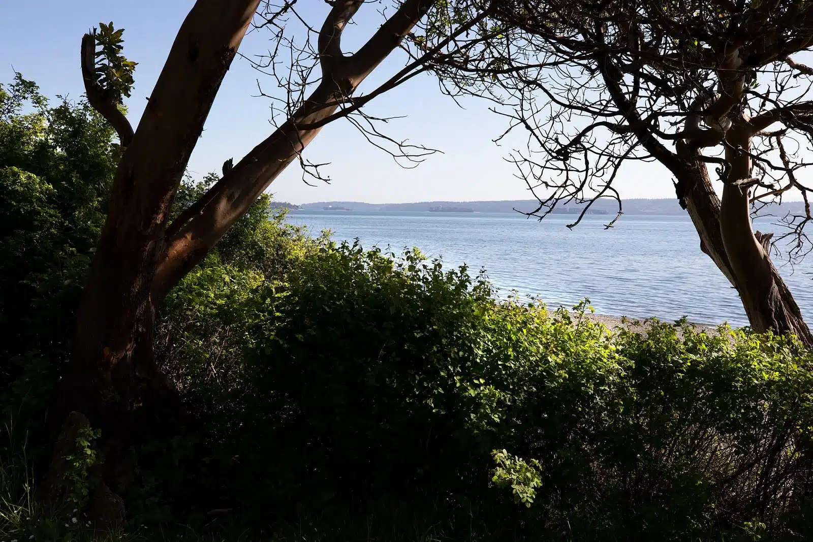 Web-1600-Cama-Beach-Camano-Island.jpg