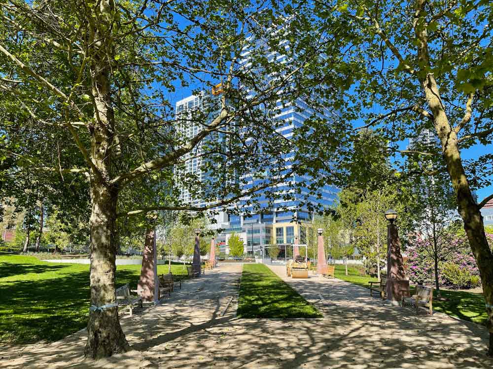 downtown Bellevue skyline from the downtown park