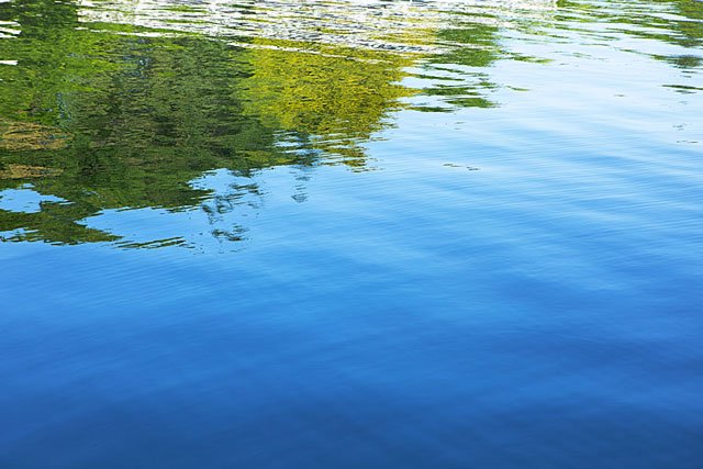 Reflection off of Green Lake in Seattle Wa