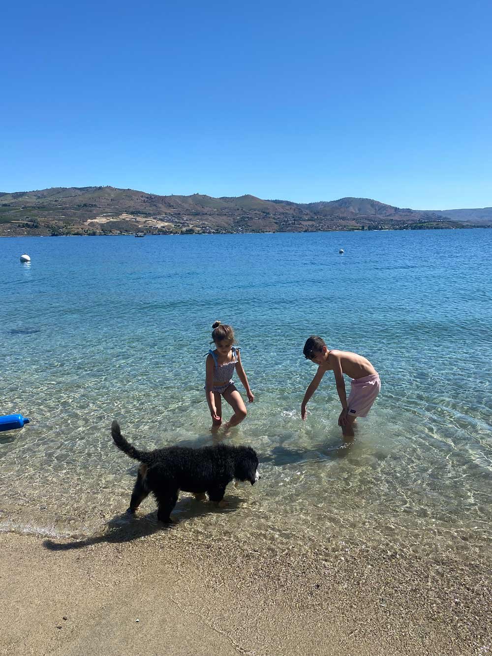 Lake-Chelan-withe-two-kids-playing-with-a-Bernese-Mountain-Dog-in-the-lake