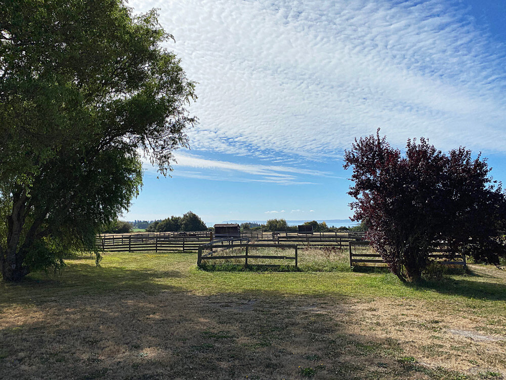 Horse ranch on Northside of Camano Island with old fence.