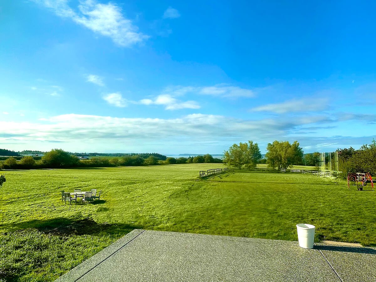 Horse farm water view Camano Island Washington