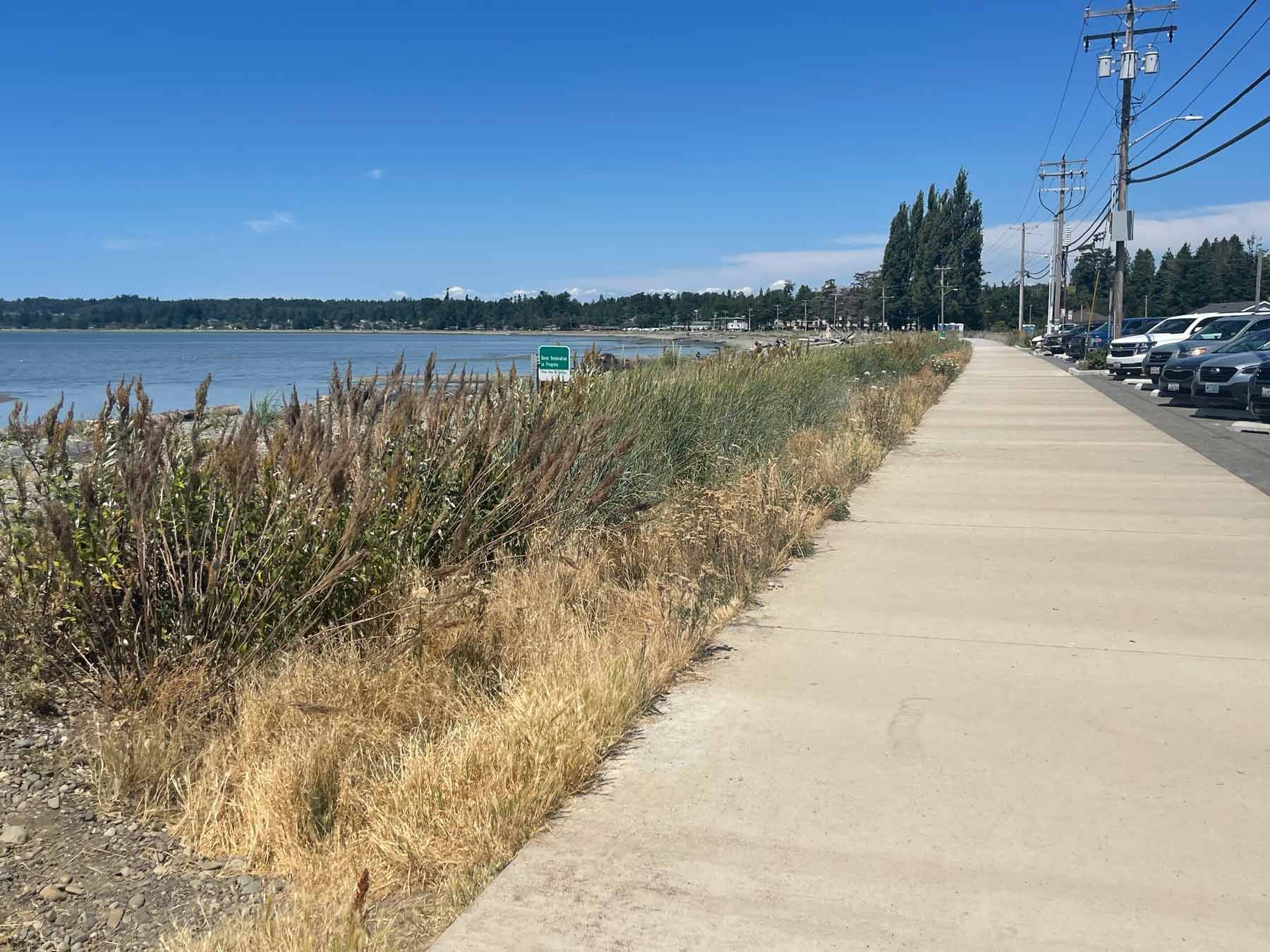 Paved-walking-path-at-Birch-bay