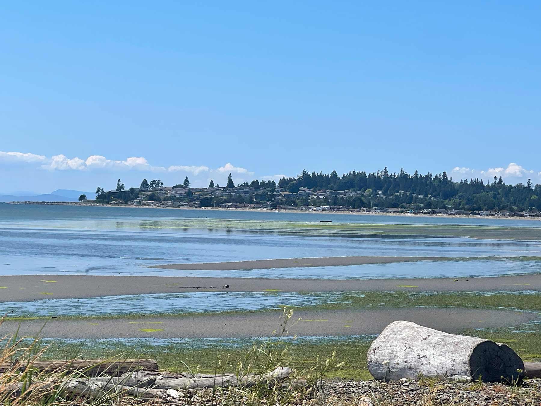 Birch bay beach combing beach with view of Birch Bay Village waterfront homes