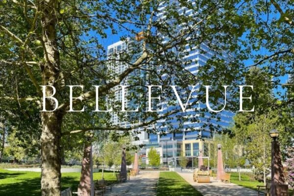 Downtown Bellevue park with Bellevue skyline on a Summer day