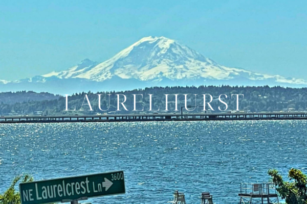 Laurelhurst community beach overlooking lake washington and mount rainier.