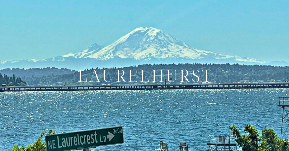 Laurelhurst community beach overlooking lake washington and mount rainier.