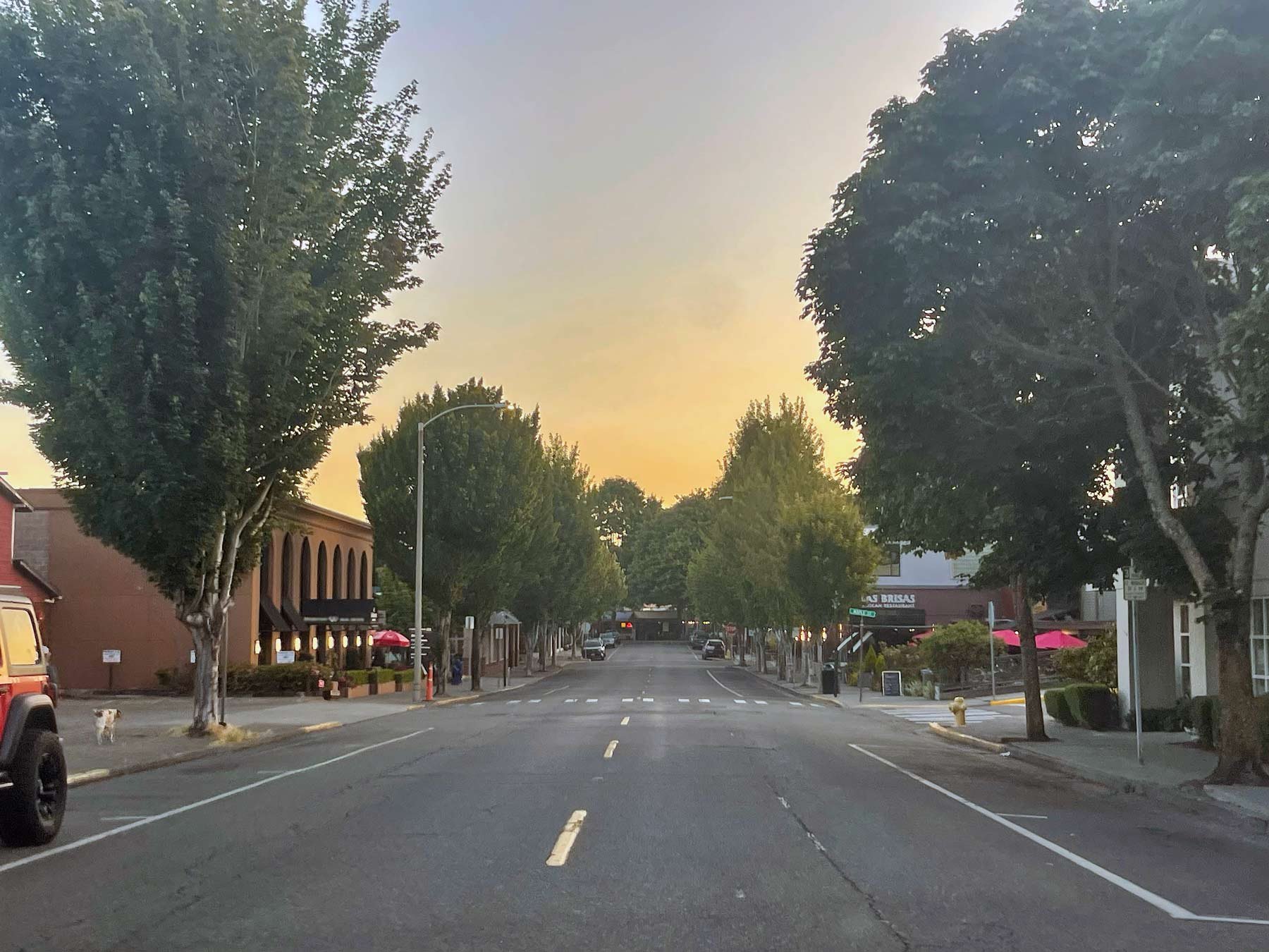 Downtown-Edmonds-wa-with-beautful-tree-lined-streets-at-sunrise