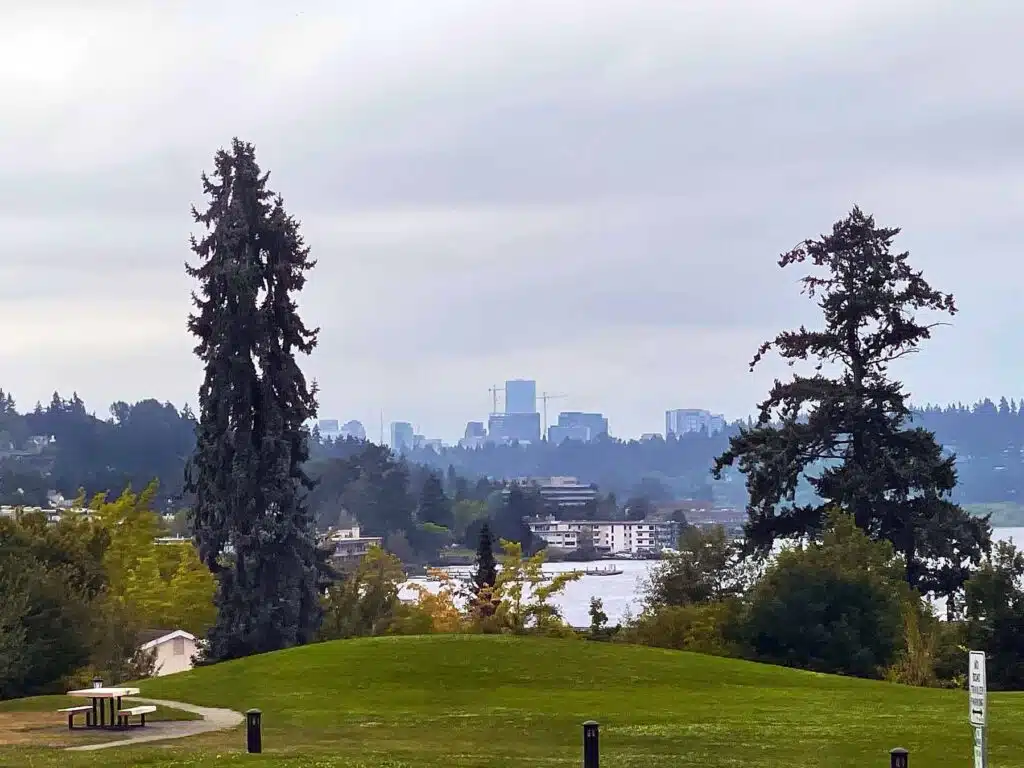 Heritage Park View Of Bellevue Skyline Through Evergreens Bellevue skyline framed by towering evergreens, with Lake Washington and waterfront condos visible from a grassy hilltop park in Kirkland.
