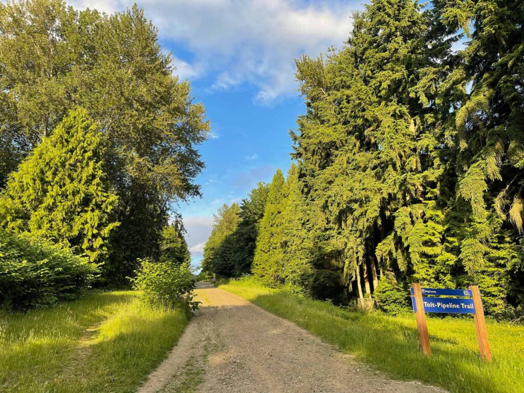 Tolt-pipeline trail in Woodinville Wa heart Attack hill.