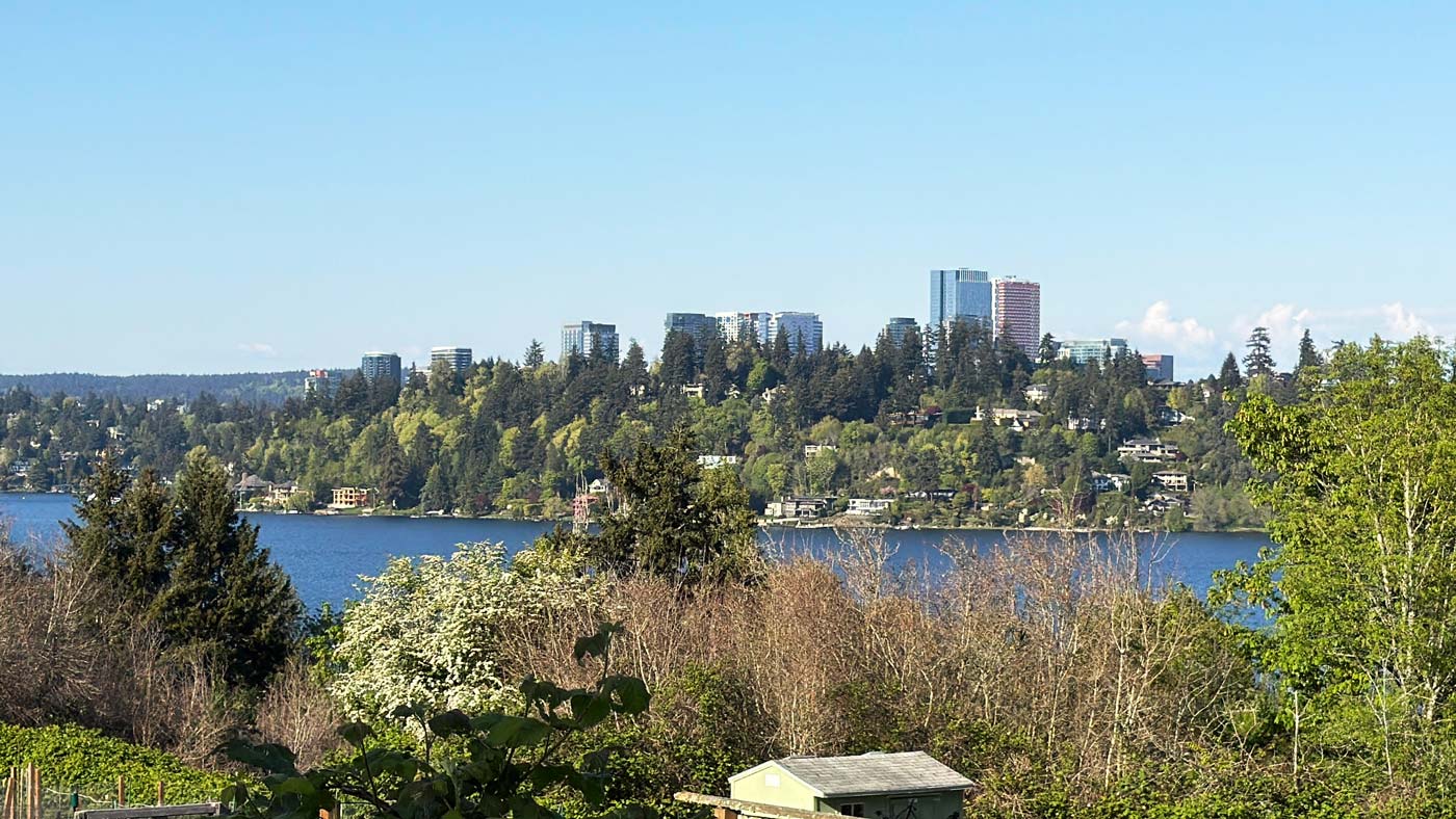 View of the downtown Bellevue city skyline rising above the tree-lined shores of Lake Washington as seen from North Mercer Island.