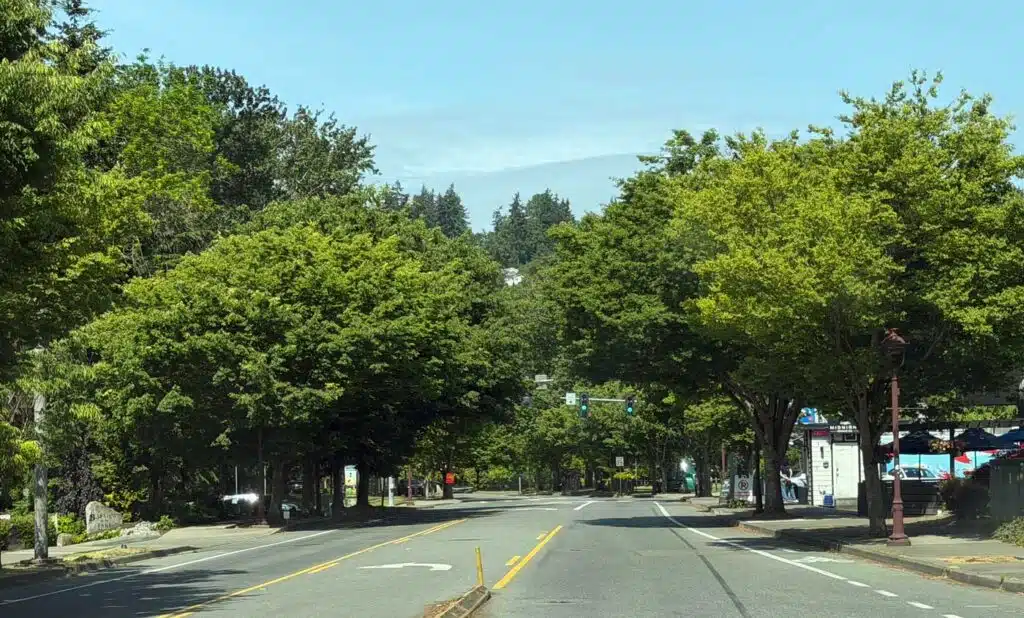 Living in South Juanita, Kirkland: 2026 Neighborhood & Real Estate Guide 4 View looking down the lush tree-lined canopy of NE Juanita Drive toward Juanita Beach Park in South Juanita Kirkland WA.
