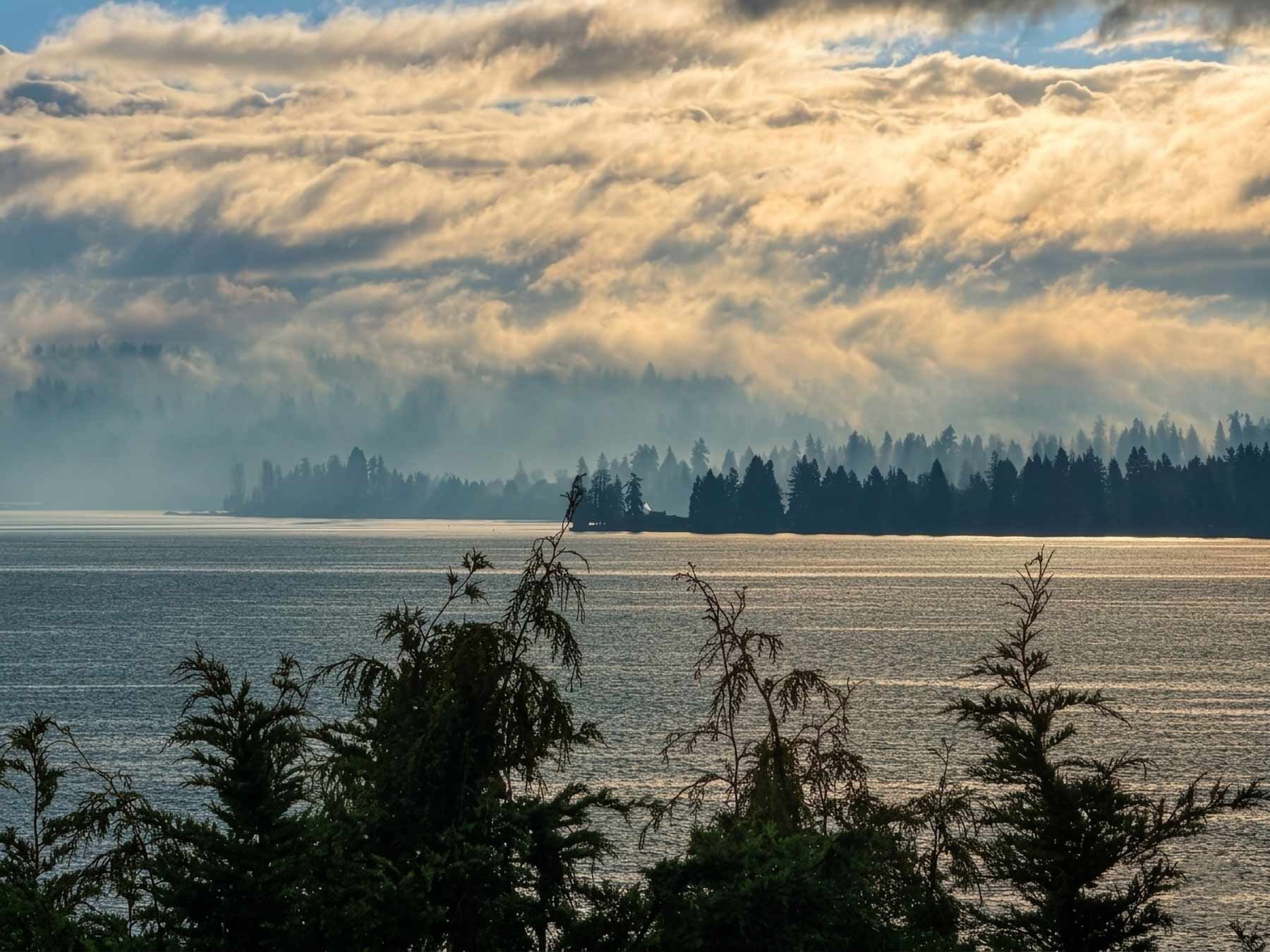 A dramatic landscape view of Lake Washington on a misty morning, looking toward the tree-lined peninsula of Hunts Point under a dynamic, sunlit cloud layer with morning fog filtering through the evergreen trees.