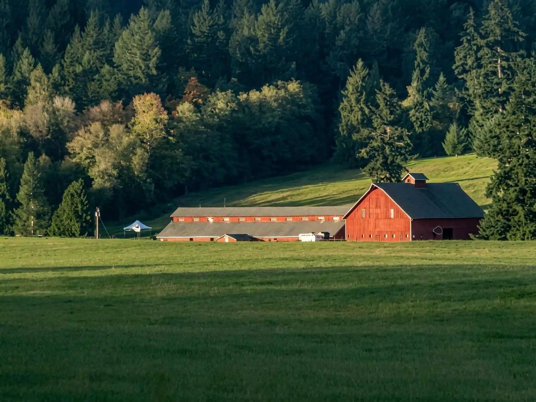 A wide, scenic landscape photograph of a large, rustic red barn and its outbuildings situated in a rolling green pasture on Camano Island, Washington, backed by a dense forest of evergreen fir trees.