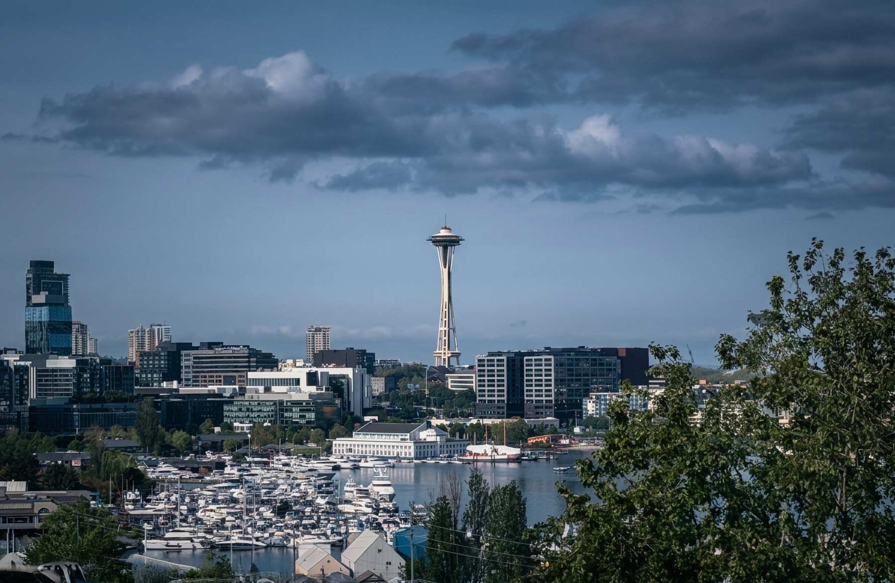 An elevated, wide-angle view from Seattle's Eastlake neighborhood looking southwest over a crowded boat marina on Lake Union toward the South Lake Union skyline, anchored by the iconic Space Needle standing tall under a partly cloudy sky.