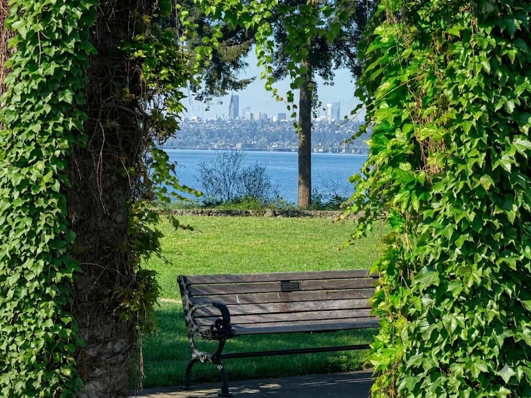 View of the Seattle skyline and Lake Washington framed by a leafy ivy arch, with a wooden park bench at Heritage Park in Kirkland, Washington