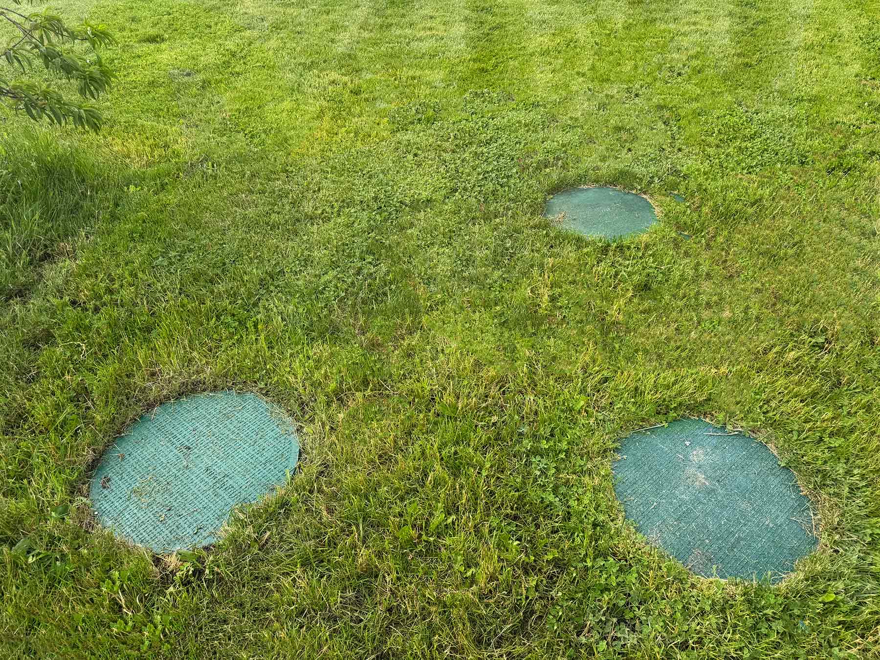 Septic system tank lids set in a grassy Western Washington yard